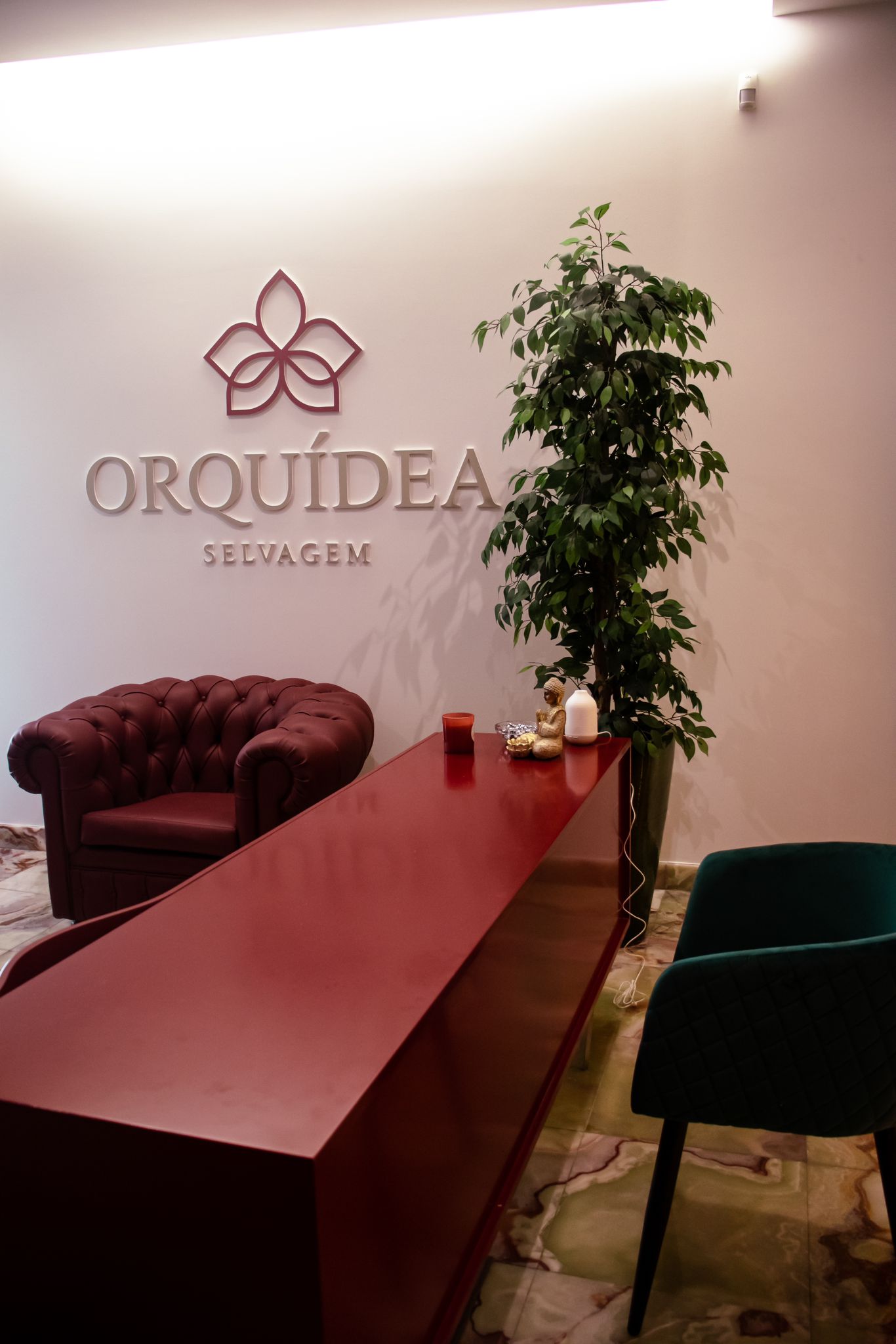 Quem Somos - Orquídea Selvagem